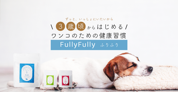 FullyFullyふりふり　3歳からはじめるワンコのための健康習慣